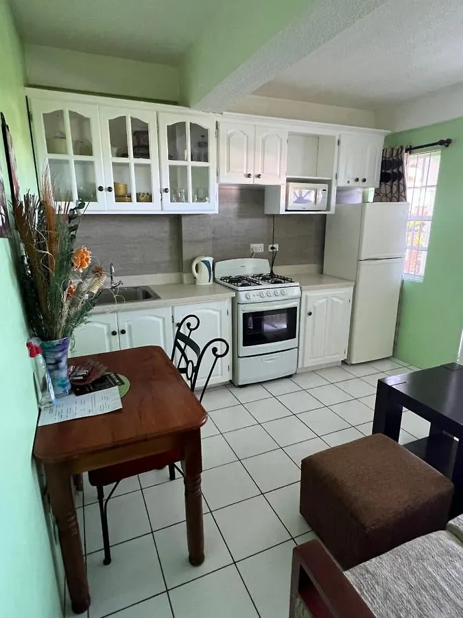 Silver View Apartments St. George's Grenada