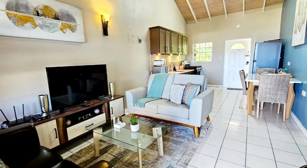 Guest house Silver View Apartments St. George's