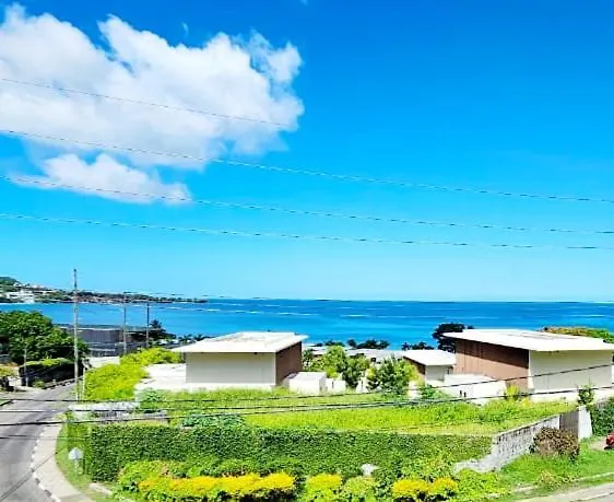 Guest house Silver View Apartments St. George's