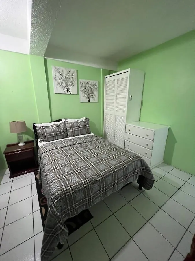 Silver View Apartments St. George's Guest house